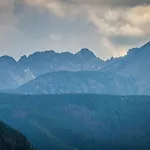 Cubryna
